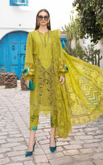 Maria B Green Luxury Lawn Embroidery Chikankari Dress 3pc