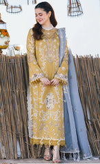 Qalamkar Mustard New Arrival Chikankari Embroidery Dress