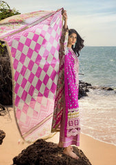 Elaf Pink New Arrival Print Embroidery Collection