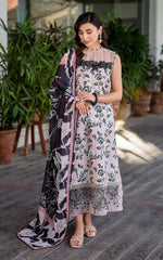 Asifa Nabeel Gul MK-02 (Tea Pink )