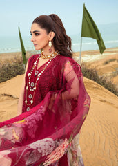 Crimson | Maroon  By Maya Ali