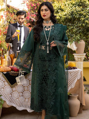 Bin ilyas | Dark Green - Chickenkari Collection