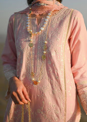 Nimshey | Peach - Chickenkari Cotton Collection