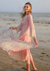 Nimshey | Peach - Chickenkari Cotton Collection