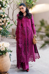 Qalamkar | Shocking Pink - Cotton Chikankari collection