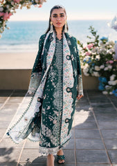 Qalamkar | Zinc - Chikankari Collection