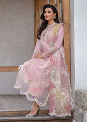 Crimson | Baby Pink - Chikankari Collection