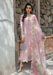 Crimson | Baby Pink - Chikankari Collection