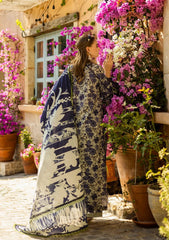Elaf | Grey Blue - Printed Lawn With Chikankari Collection