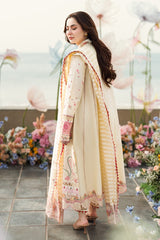 Qalamkar | Cream - Cotton Chikankari Collection