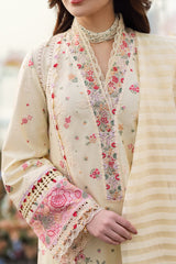 Qalamkar | Cream - Cotton Chikankari Collection