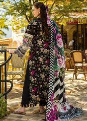 Elaf EL-05-BELLEZE-25 | Black - Lawn Chiffon Dupatta Collection