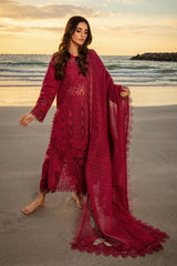 Rang Rasiya Alaya |  Mehroon - Lawn Chikankari Collection
