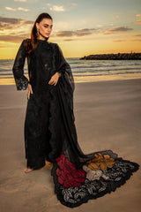 Rang Rasia | Black - Chikankari Collection